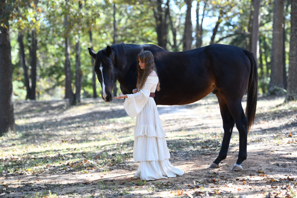 Horse mineral quality